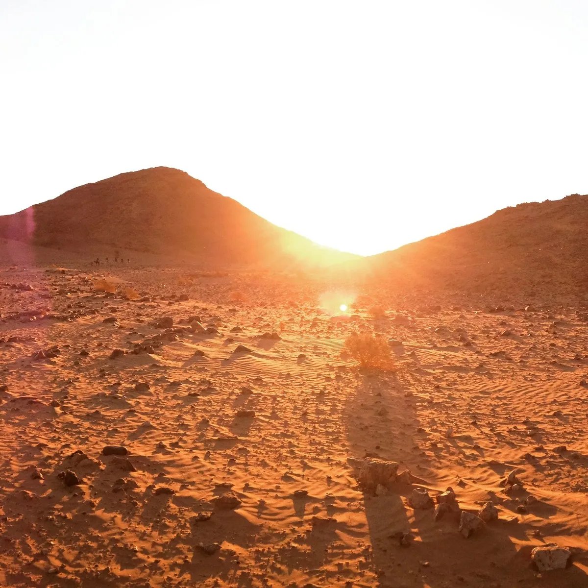 2 Days Trekking + 4 Days Desert