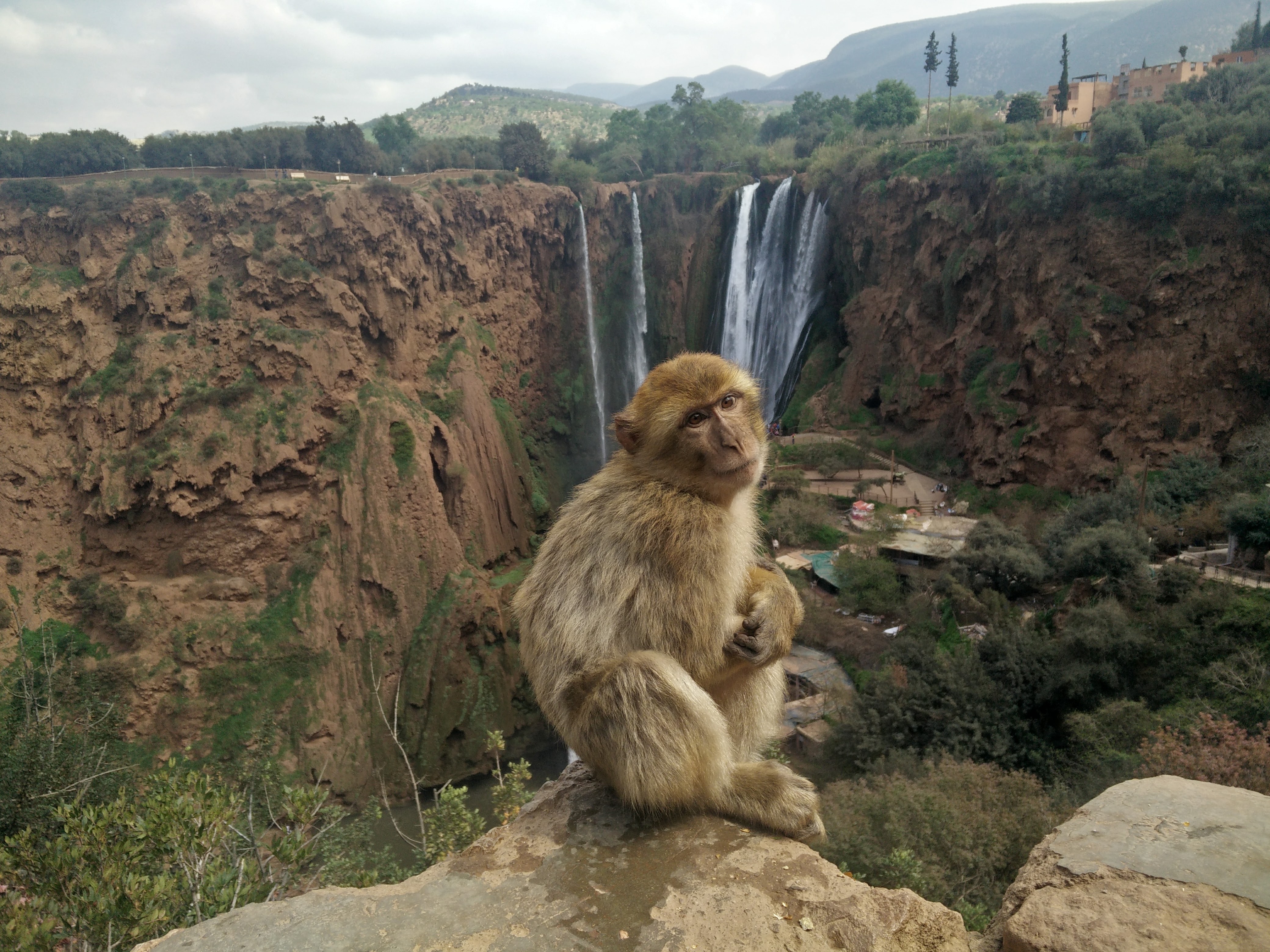 Ouzoud Waterfalls