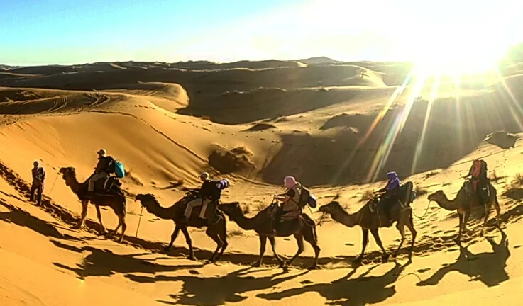 Express Desert Tour