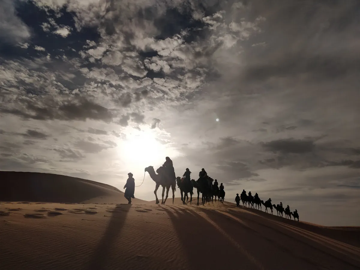 Express Desert Tour