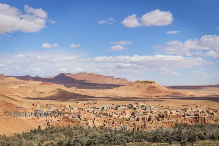 Sahara Desert Dunes