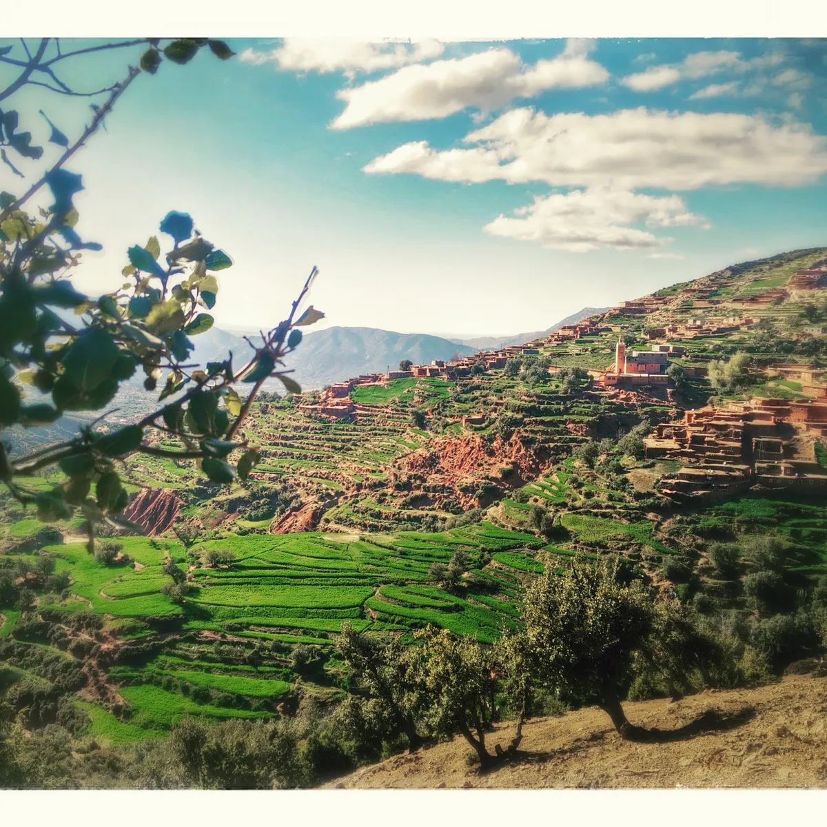 Discovering Berber Life
