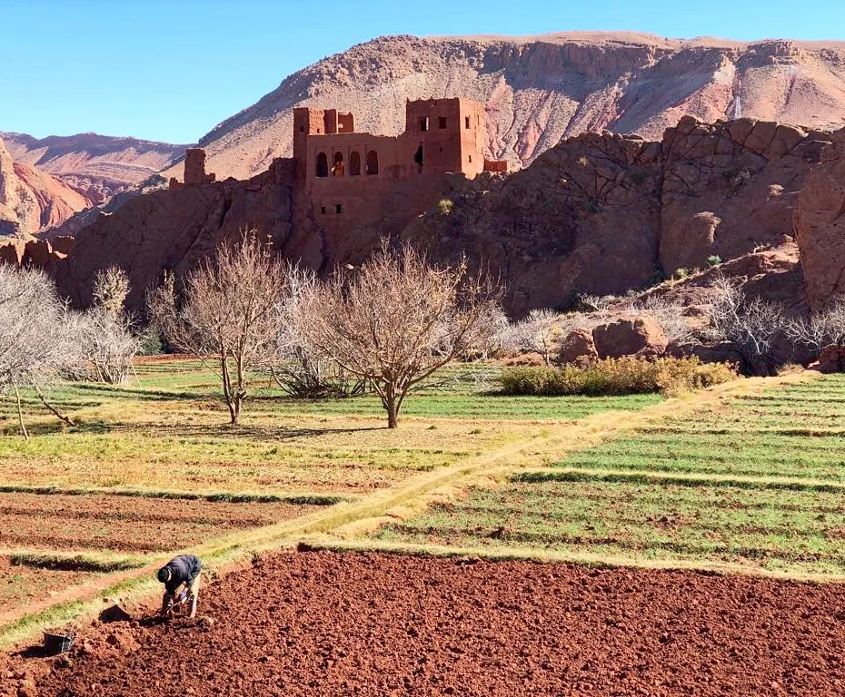 Berber Kasbah Three Valleys Morocco